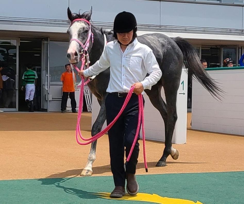 　初陣を飾ったキャンディード