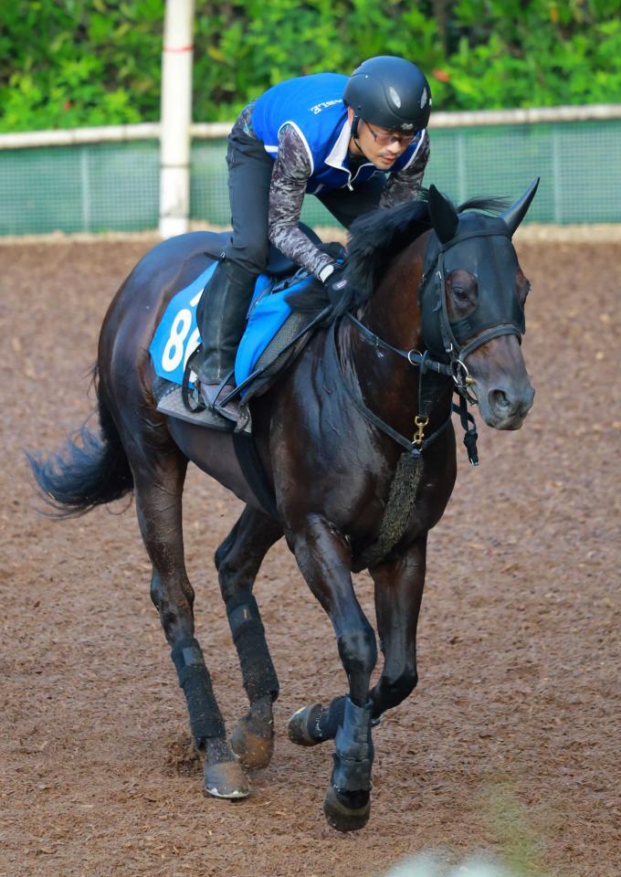 　ヨシノイースター