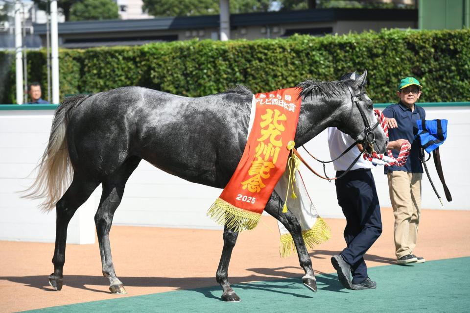 　北九州記念を制したヤマニンアルリフラ