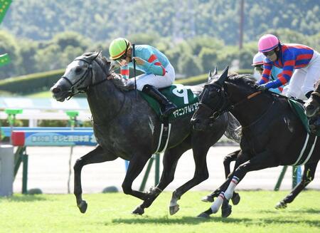 【北九州記念】ヤマニンアルリフラ　３連勝で重賞初Ｖ　いざ夏の短距離王へ　団野も今年初Ｖ