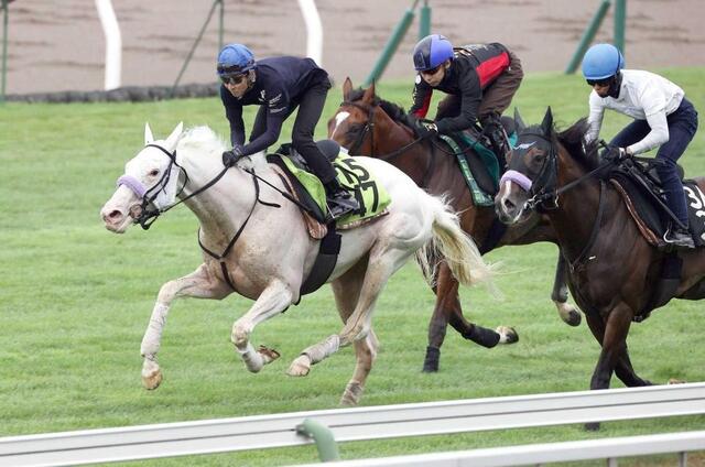 新馬戦】マルガ 白毛伝説再び 姉・ソダシと同じ7・12函館でお披露目