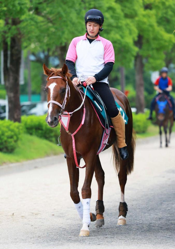 　運動するチェルヴァーラ（撮影・石湯恒介）