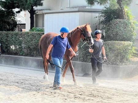 アーモンドアイの2番子プロメサアルムンドが再入厩 今夏新潟デビューへ国枝師「筋肉がついて、分厚くなっている」