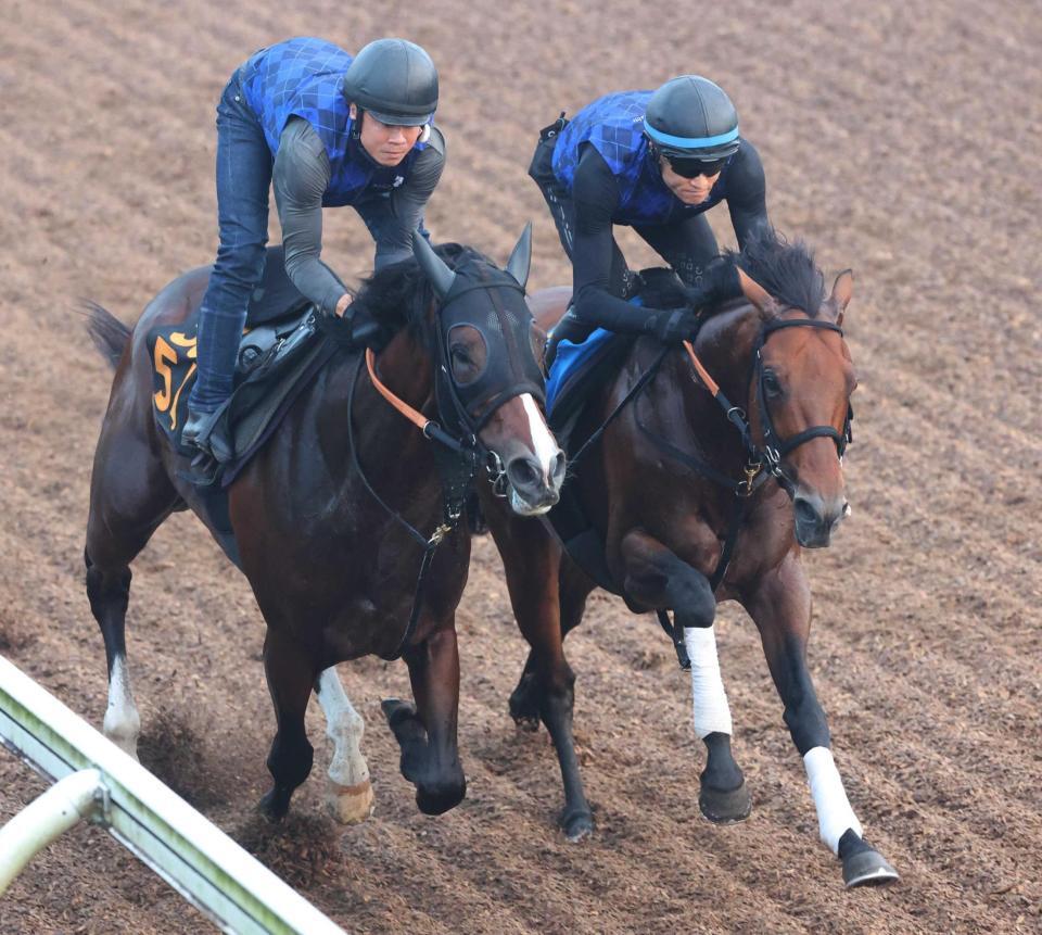 　坂路での併せ馬で切れのある動きを見せたドゥラドーレス（右）
