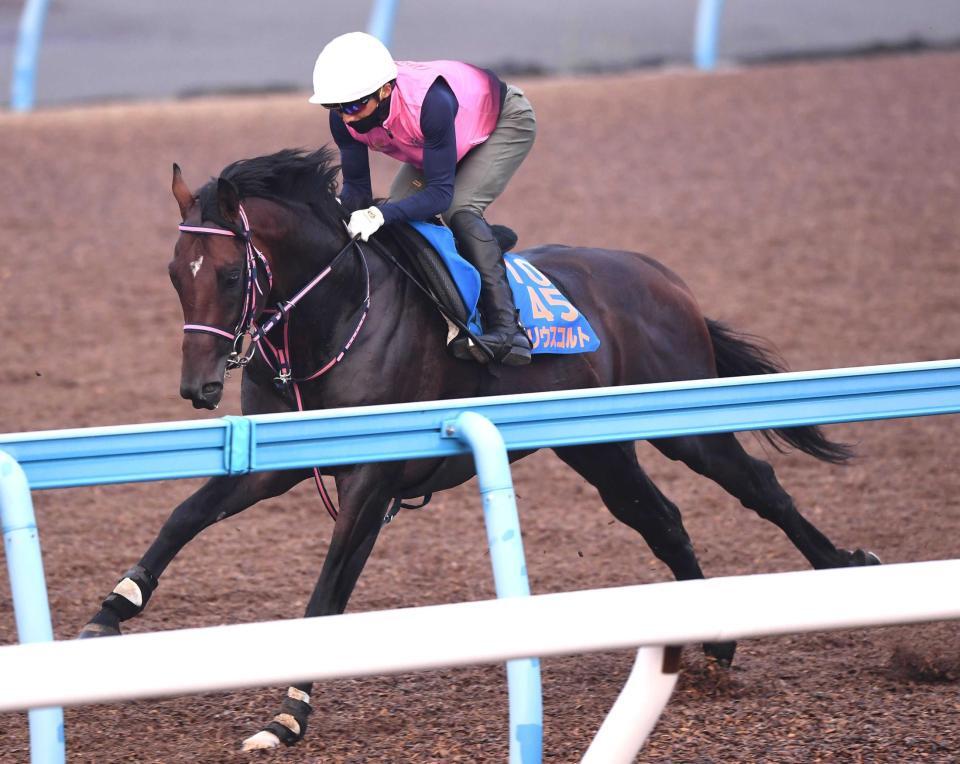 　美浦Ｗで力強い動きを見せたシリウスコルト（撮影・園田高夫）