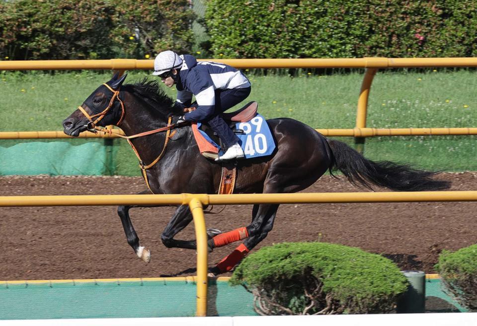 　藤岡佑を背に躍動感いっぱいのケイアイセナ