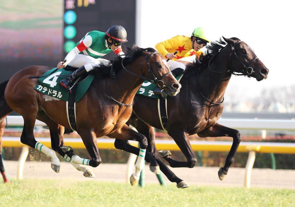 　２１年の東京新聞杯を制したカラテ（右）