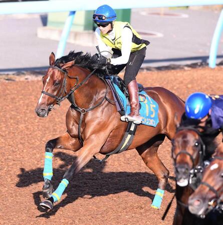 　菅原明を背に美浦Ｗで好気配を見せたオニャンコポン