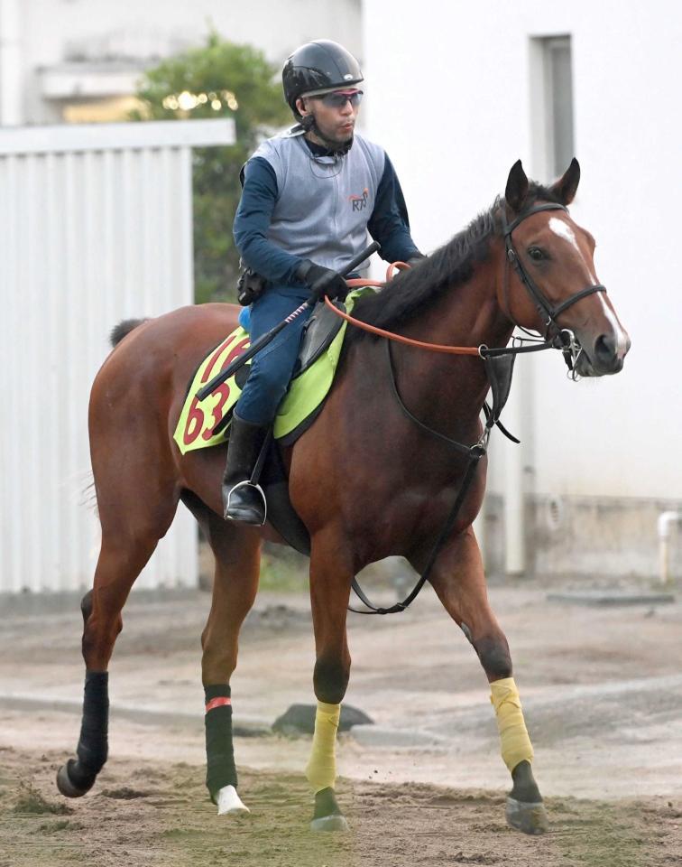 　今村聖奈とのコンビで初陣に臨むミスバレンシア