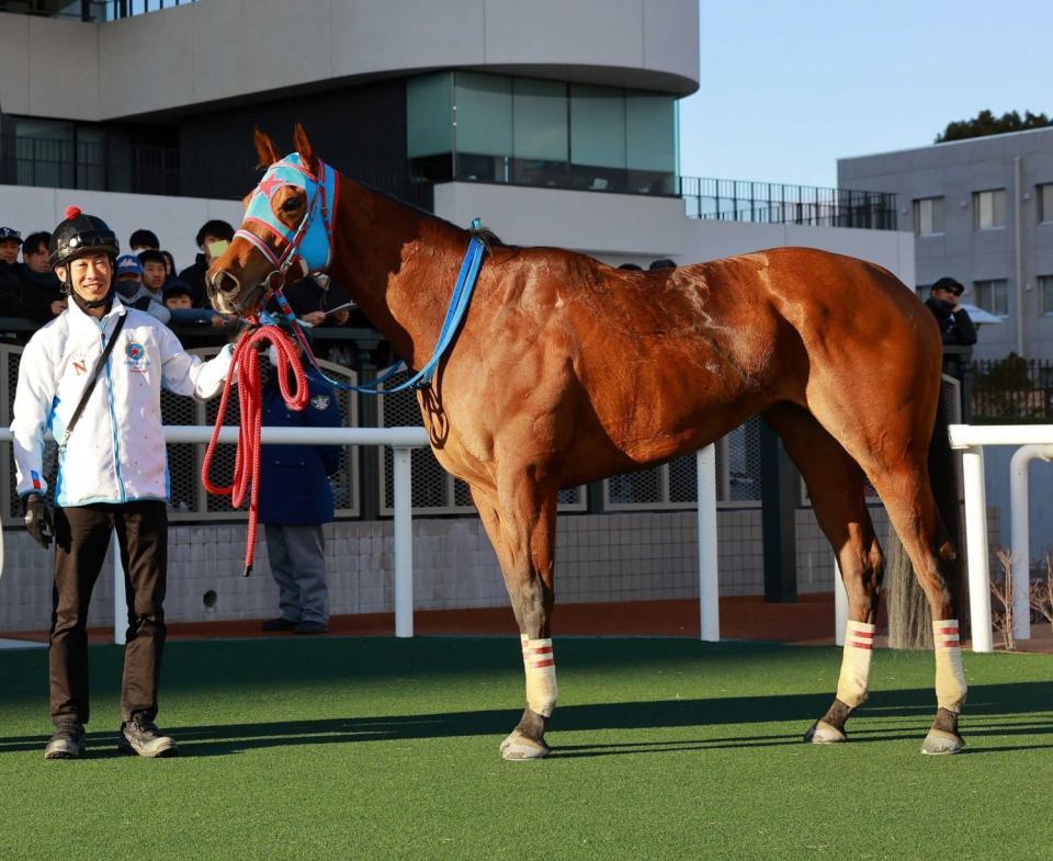 　ネグレスコ（２月９日撮影）