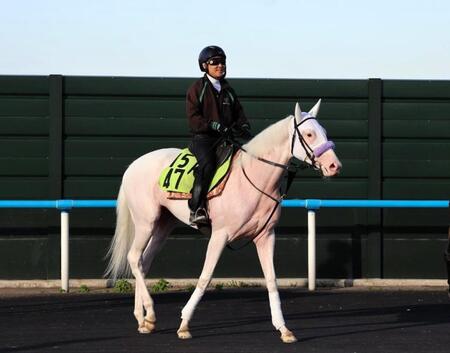 白毛馬マルガがレコードで白星発進　武豊「いい馬。柔らかい。マイルの大きなレースを目標に」　半姉にソダシ＆ママコチャと２頭のＧ１馬