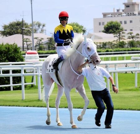 　検量質前に引き揚げてきたマルガ