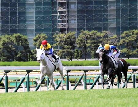 　デビュー戦を制したマルガ（左）