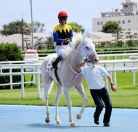 　検量質前に引き揚げてきたマルガ