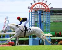 　デビュー戦を制したマルガ