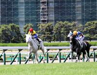 　デビュー戦を制したマルガ（左）