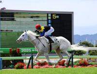 　デビュー戦を制したマルガ