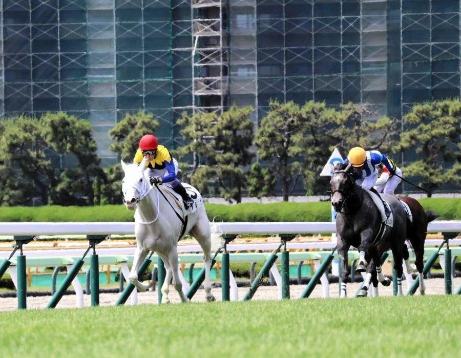 　デビュー戦を制したマルガ（左）