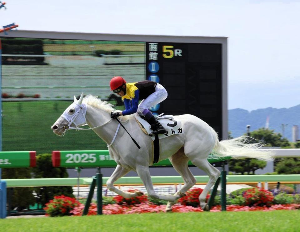 　デビュー戦を制したマルガ