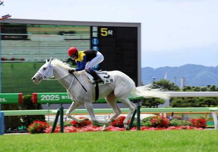 【新馬戦】白毛マルガがレコードＶ　偉大な姉ソダシと同舞台＆同日圧巻デビュー　単勝１・１倍の断然人気応えた