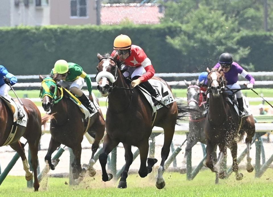 　新馬戦を制したルージュボヤージュ（中央）＝撮影・園田高夫