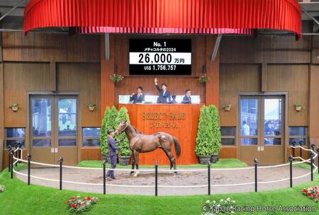 　２億６０００万円で落札されたコントレイル産駒のメチャコルタ２４ⒸＪａｐａｎ　Ｒａｃｉｎｇ　Ｈｏｒｓｅ　Ａｓｓｏｃｉａｔｉｏｎ