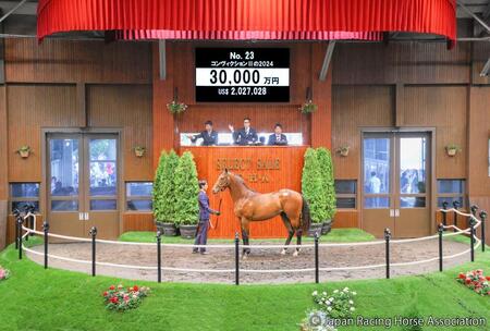 　３億円で落札されたキタサンブラック産駒のコンヴィクション２の２４ⒸＪａｐａｎ　Ｒａｃｉｎｇ　Ｈｏｒｓｅ　Ａｓｓｏｃｉａｔｉｏｎ