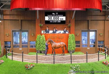 　３億円で落札されたレイデオロ産駒のフォーエヴァーダーリング２４　ⒸＪａｐａｎ　Ｒａｃｉｎｇ　Ｈｏｒｓｅ　Ａｓｓｏｃｉａｔｉｏｎ