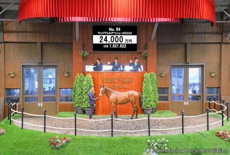 【セレクトセール２５】サートゥルナーリア産駒も高額取引連発　Ｇ１馬グレナディアガーズ半妹に福永師「桜花賞にチャレンジさせたい」