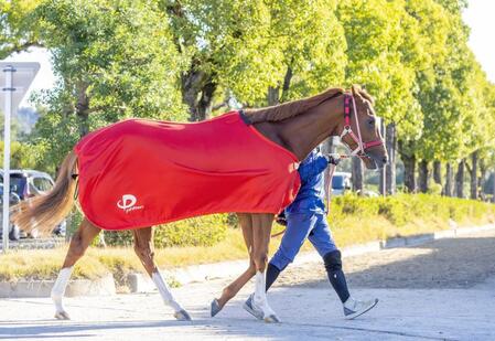 　シンエンペラー