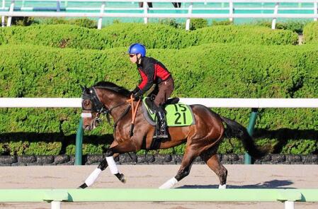 　池添とのコンビで世代初のＪＲＡ重賞初制覇を狙うカイショー