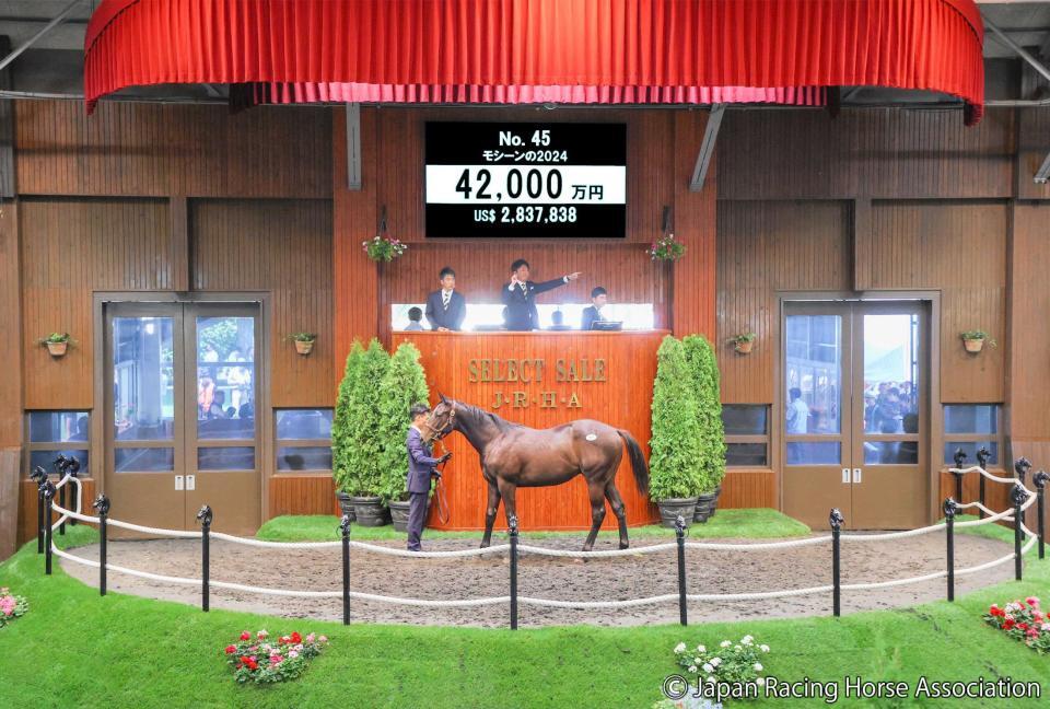　４億２０００万円で落札されたキタサンブラック産駒のモシーン２４　©Ｊａｐａｎ　Ｒａｃｉｎｇ　Ｈｏｒｓｅ　Ａｓｓｏｃｉａｔｉｏｎ