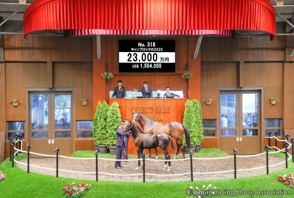 セレクトセール25】新種牡馬イクイノックス産駒はいきなり2億