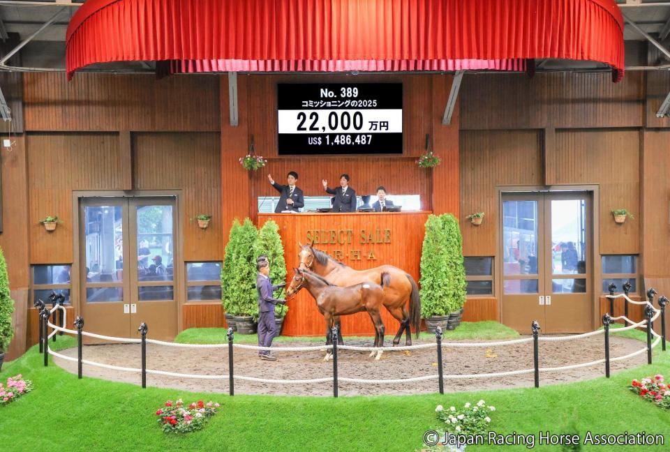 　近藤旬子オーナーが２億２０００万円で落札したコミッショニング２５ⒸＪａｐａｎ　Ｒａｃｉｎｇ　Ｈｏｒｓｅ　Ａｓｓｏｃｉａｔｉｏｎ