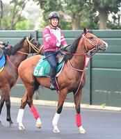 　函館２歳Ｓに臨むスターオブロンドン