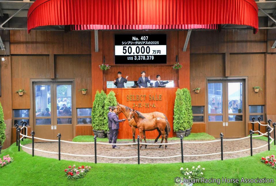 　５億円で落札されたシンプリーグロリアス２５（ｃ）ＪａｐａｎＲａｃｉｎｇＨｏｒｓｅＡｓｓｏｃｉａｔｉｏｎ