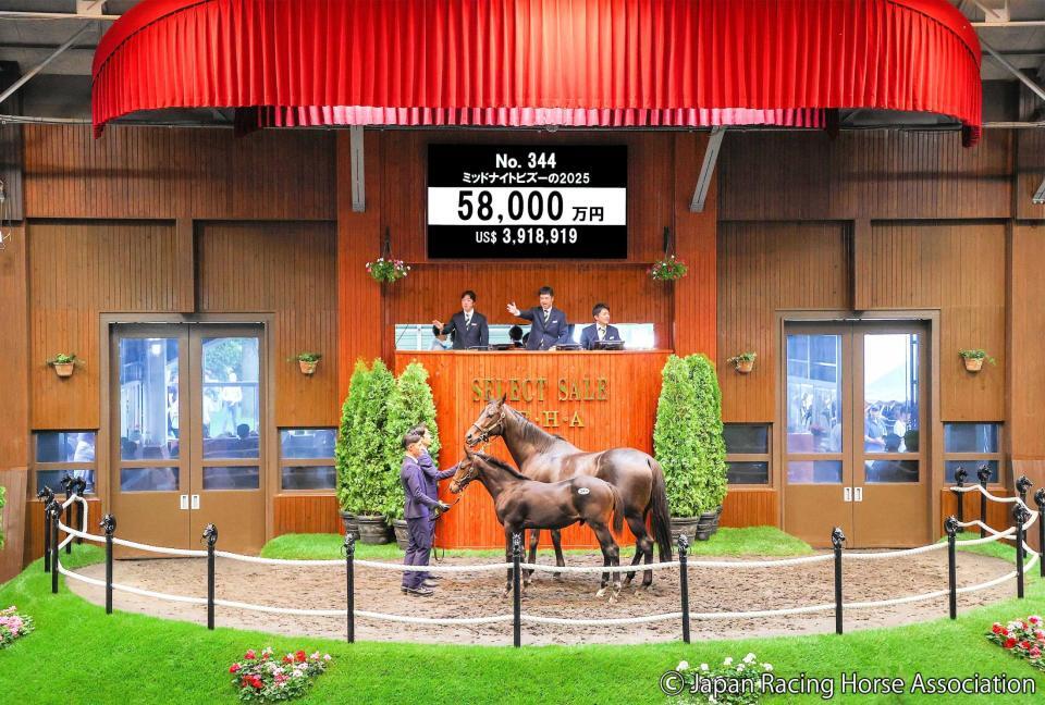 　５億８０００万円で落札されたイクイノックス産駒のミッドナイトビズー２５（ｃ）ＪａｐａｎＲａｃｉｎｇＨｏｒｓｅＡｓｓｏｃｉａｔｉｏｎ