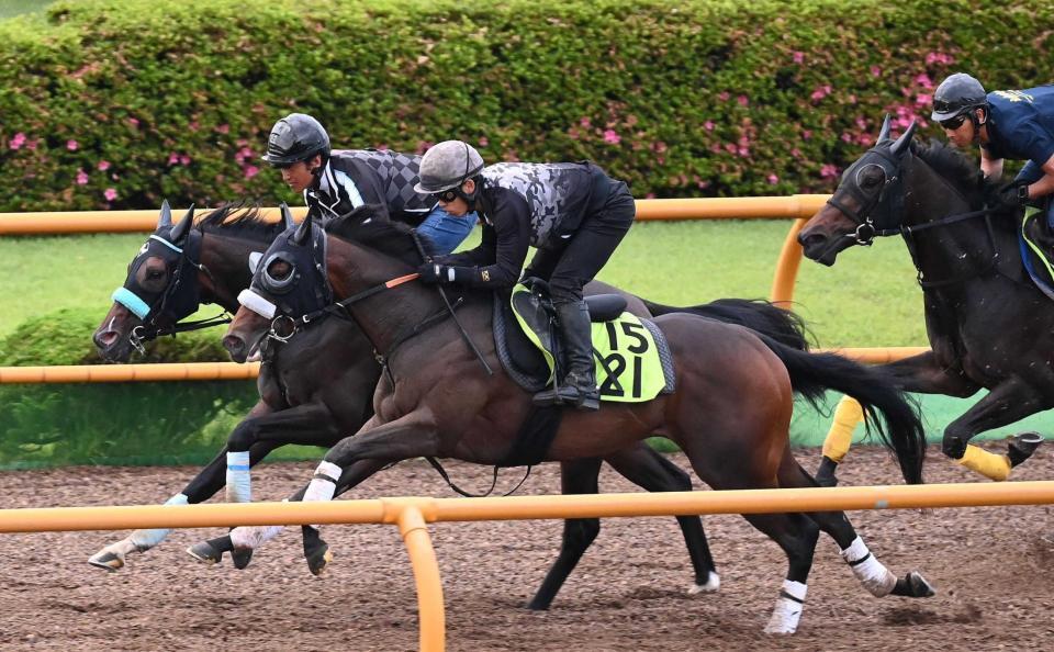 　３頭併せで自慢のスピードを発揮したカイショー（手前）