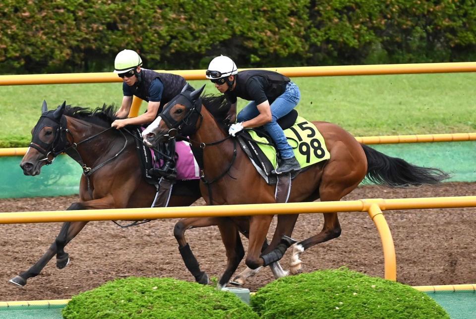 　函館Ｗで余力のある動きを見せたブラックチャリス（手前）＝撮影・園田高夫