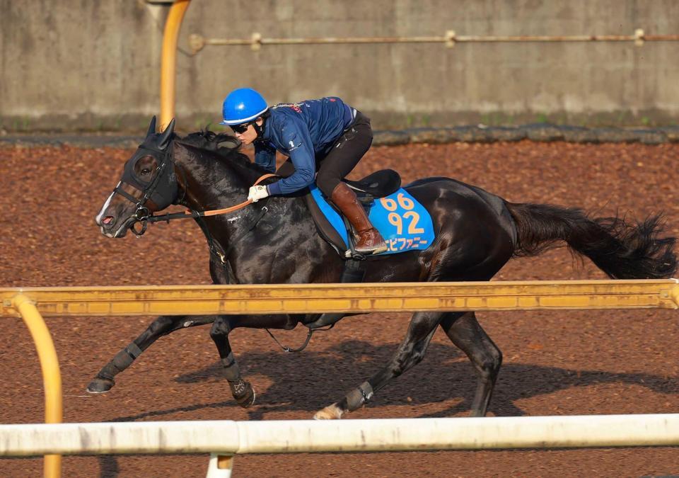　栗東ＣＷで好調をアピールしたエピファニー