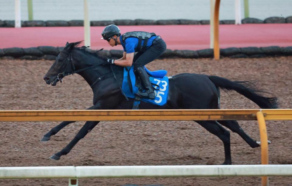 　栗東ＣＷを軽快に駆け抜けたディープモンスター（撮影・石湯恒介）
