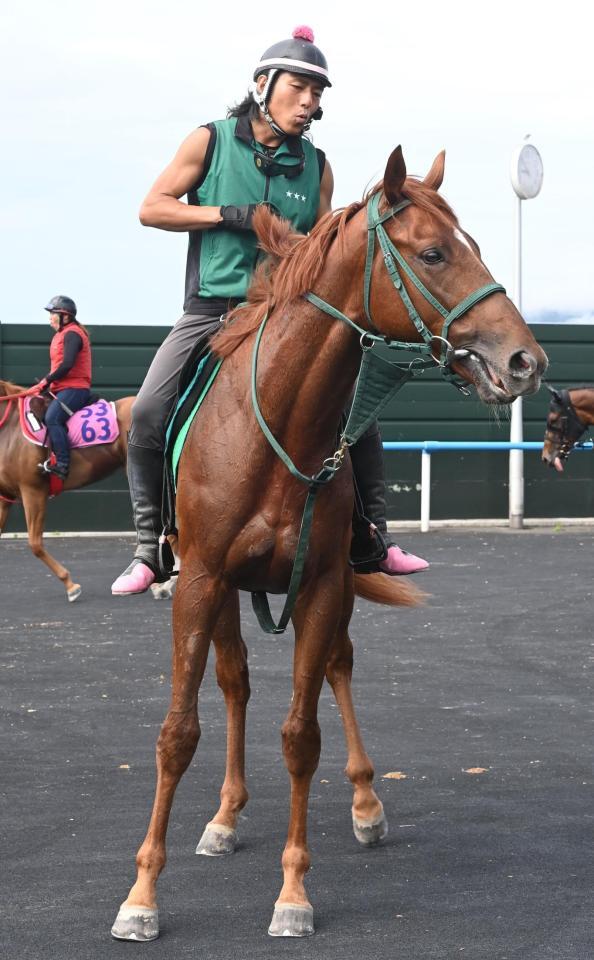 アーレムアレス