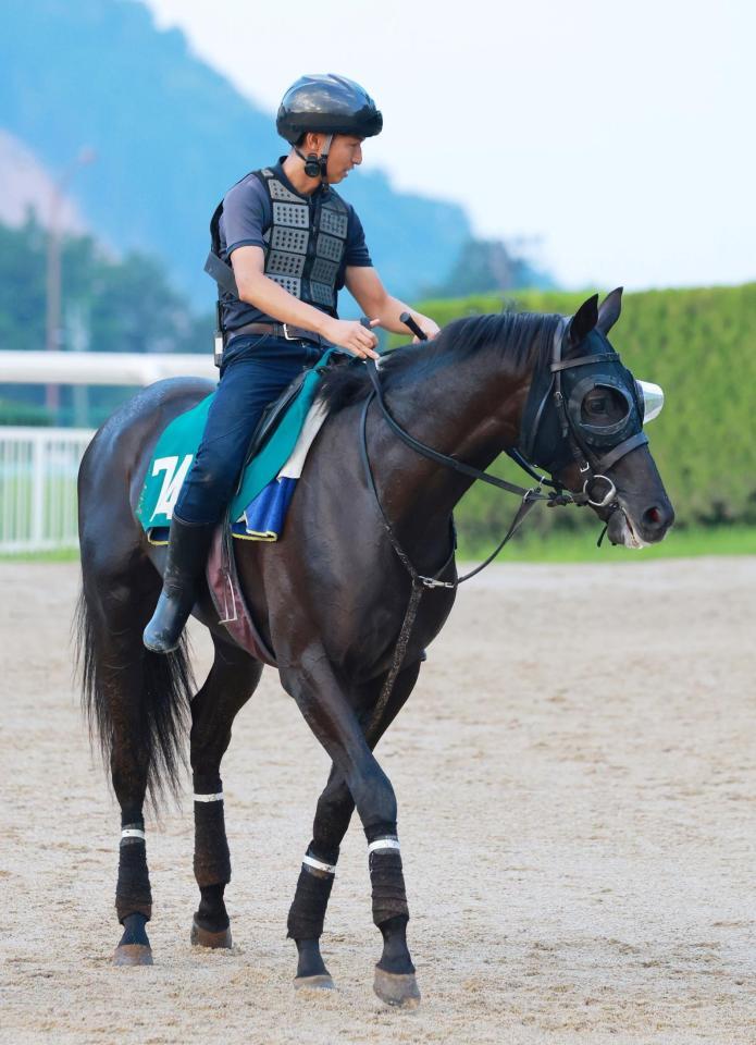 運動するベレシート（撮影・石湯恒介）