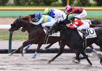 　函館６Ｒを制したモリノアミーゴ（左）＝撮影・園田高夫