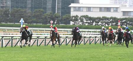 　最後の直線で抜き去ったエイシンディード（左）＝撮影・園田高夫