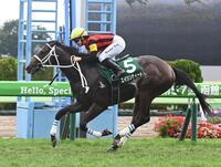 　函館２歳Ｓを制したエイシンディードとキング（撮影・園田高夫）