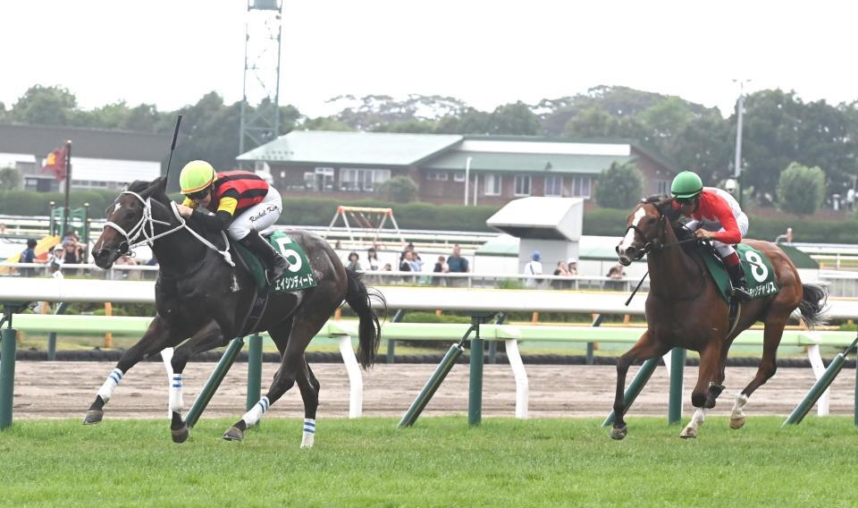 　函館２歳Ｓを制したエイシンディード（左）＝撮影・園田高夫