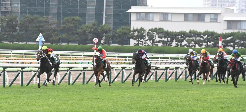 　最後の直線で抜き去ったエイシンディード（左）＝撮影・園田高夫