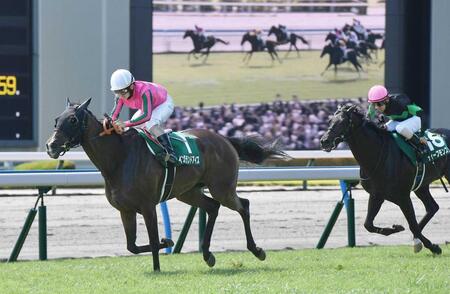 　１着でゴールするイングランドアイズ