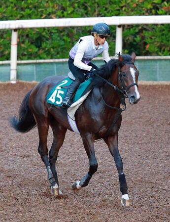 　坂路を駆け上がるクールドリオン（撮影・石湯恒介）